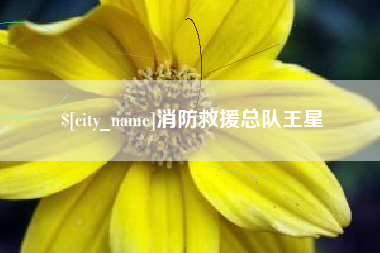 射阳消防救援总队王星
