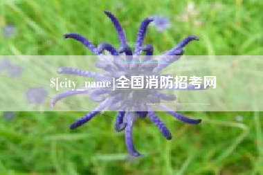 射阳全国消防招考网