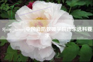 射阳中国消防救援学院山东选科要求