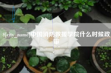 射阳中国消防救援学院什么时候政审
