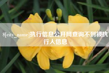 射阳执行信息公开网查询不到被执行人信息