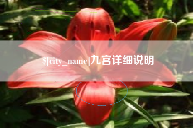射阳九宫详细说明