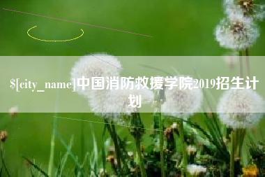 射阳中国消防救援学院2019招生计划