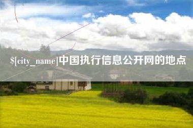射阳中国执行信息公开网的地点