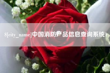 射阳中国消防产品信息查询系统1