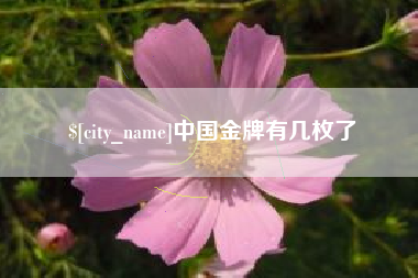 射阳中国金牌有几枚了