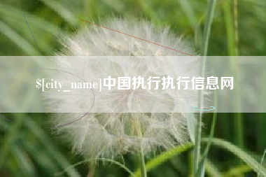 射阳中国执行执行信息网