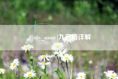 射阳九宫格详解