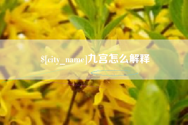 射阳九宫怎么解释