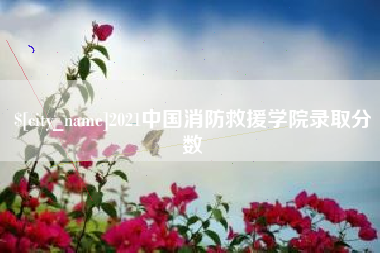 射阳2021中国消防救援学院录取分数