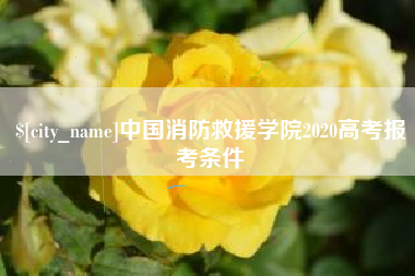 射阳中国消防救援学院2020高考报考条件