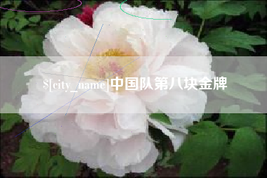 射阳中国队第八块金牌