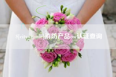 射阳消防产品ccc认证查询