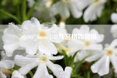 射阳579九宫格如何排