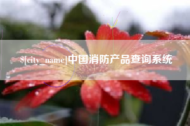 射阳中国消防产品查询系统