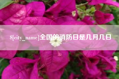 射阳全国的消防日是几月几日