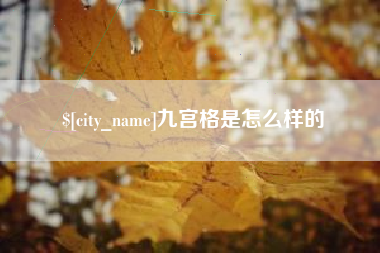 射阳九宫格是怎么样的