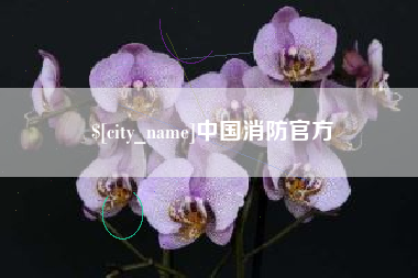 射阳中国消防官方