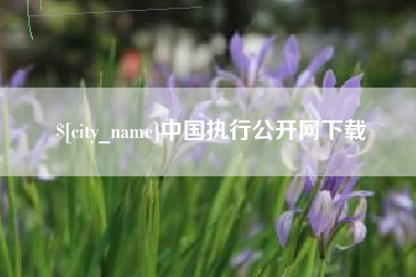 射阳中国执行公开网下载