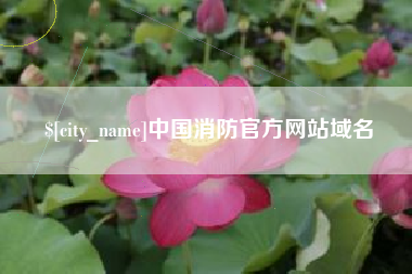 射阳中国消防官方网站域名