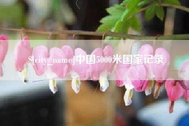 射阳中国5000米国家记录