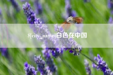 射阳白色在中国