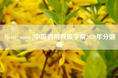射阳中国消防救援学院2020年分数线