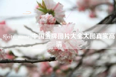 射阳中国金牌图片大全大图真实高清