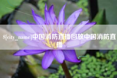射阳中国消防直播回放中国消防直播