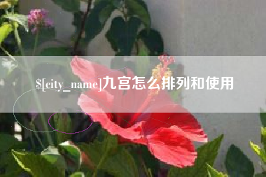 射阳九宫怎么排列和使用