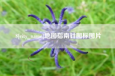 射阳地图指南针图标图片