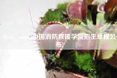 射阳中国消防救援学院招生章程公布!
