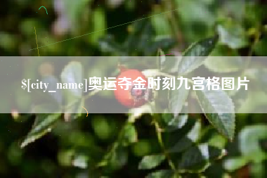 射阳奥运夺金时刻九宫格图片