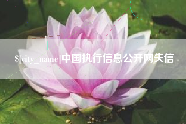 射阳中国执行信息公开网失信