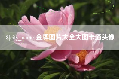 射阳金牌图片大全大图卡通头像