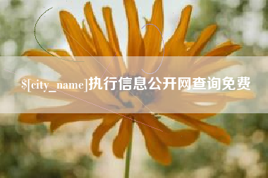 射阳执行信息公开网查询免费