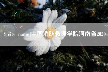 射阳中国消防救援学院河南省2020